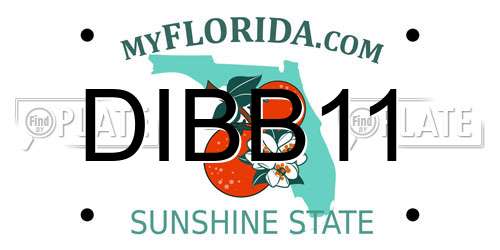 DIBB11 Florida License Plate