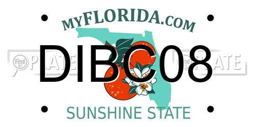 DIBC08 Florida License Plate