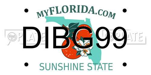 DIBG99 Florida License Plate