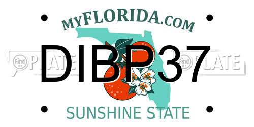 DIBP37 Florida License Plate
