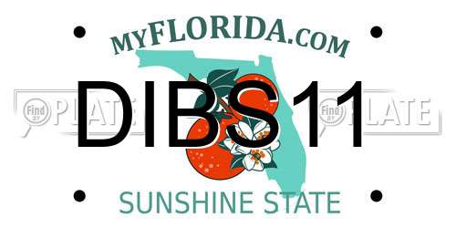 DIBS11 Florida License Plate