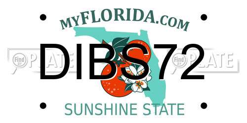 DIBS72 Florida License Plate