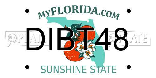 DIBT48 Florida License Plate