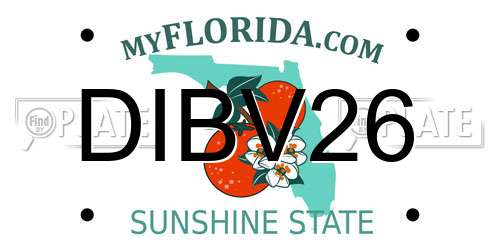 DIBV26 Florida License Plate