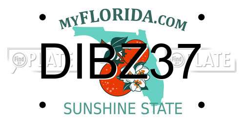 DIBZ37 Florida License Plate
