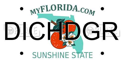 DICHDGR Florida License Plate