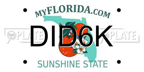 DID6K Florida License Plate