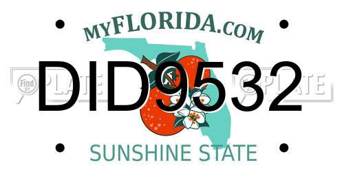 DID9532 Florida License Plate