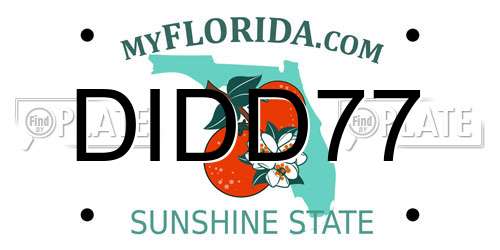 DIDD77 Florida License Plate