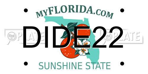 DIDE22 Florida License Plate