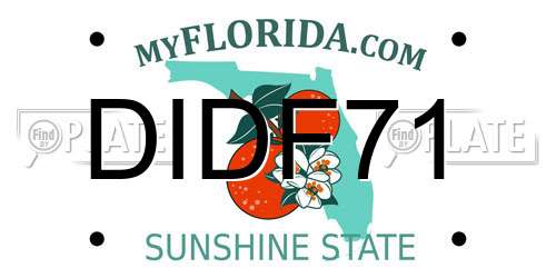 DIDF71 Florida License Plate