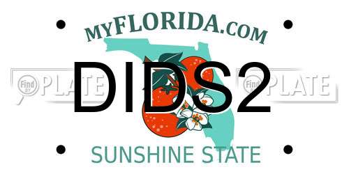 DIDS2 Florida License Plate