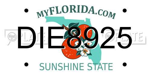 DIE8925 Florida License Plate
