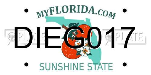 DIEG017 Florida License Plate