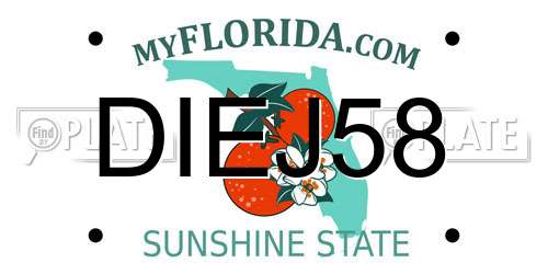 DIEJ58 Florida License Plate