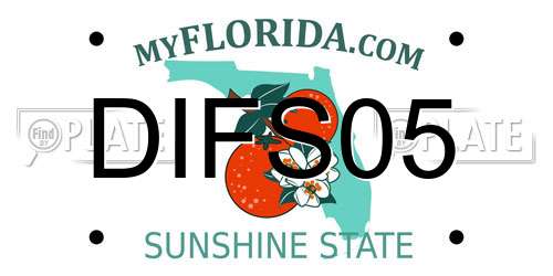 DIFS05 Florida License Plate