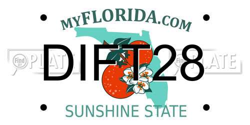 DIFT28 Florida License Plate