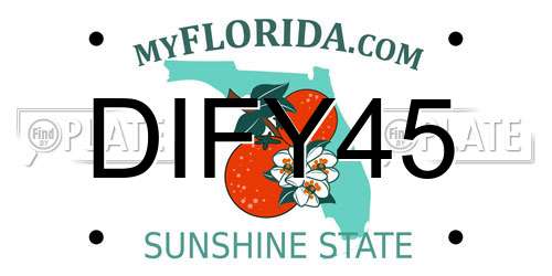 DIFY45 Florida License Plate