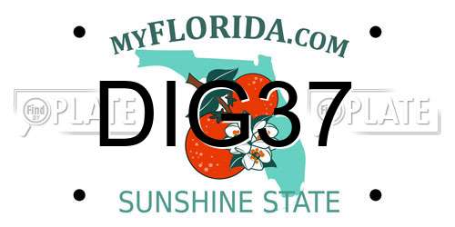 DIG37 Florida License Plate