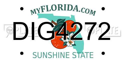 DIG4272 Florida License Plate