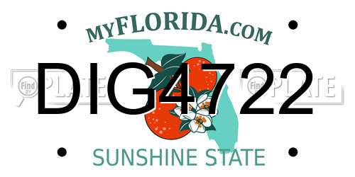 DIG4722 Florida License Plate