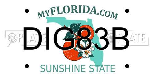 DIG83B Florida License Plate