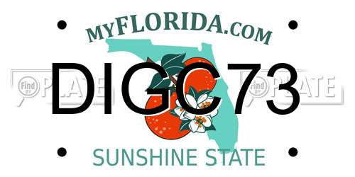 DIGC73 Florida License Plate