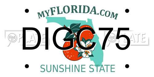 DIGC75 Florida License Plate