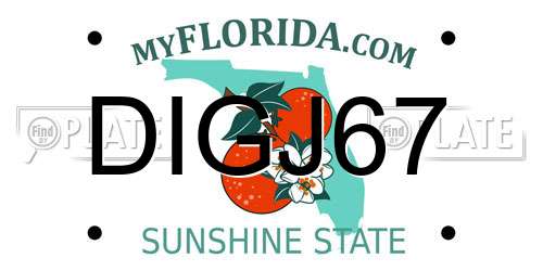 DIGJ67 Florida License Plate