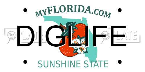 DIGLIFE Florida License Plate
