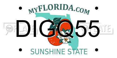 DIGQ55 Florida License Plate