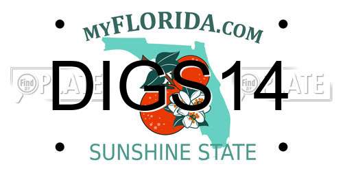 DIGS14 Florida License Plate