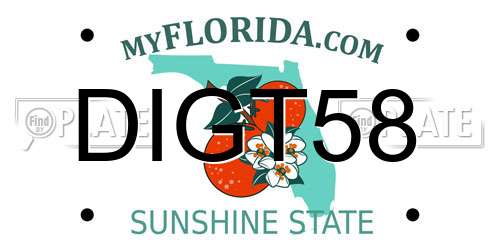 DIGT58 Florida License Plate