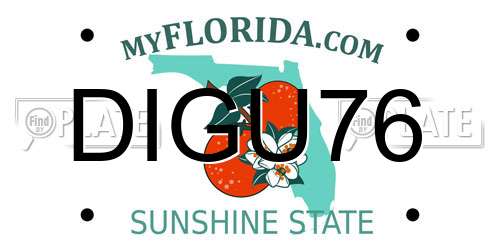 DIGU76 Florida License Plate