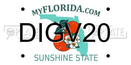 DIGV20 Florida License Plate