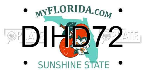 DIHD72 Florida License Plate