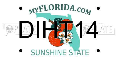 DIHT14 Florida License Plate