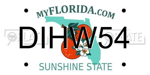 DIHW54 Florida License Plate