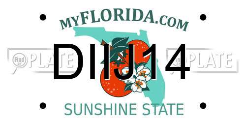 DIIJ14 Florida License Plate