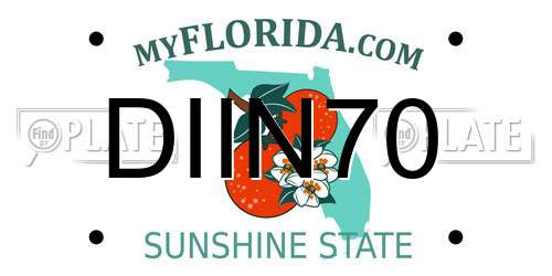DIIN70 Florida License Plate