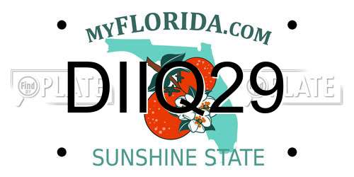 DIIQ29 Florida License Plate