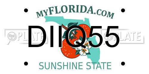 DIIQ55 Florida License Plate