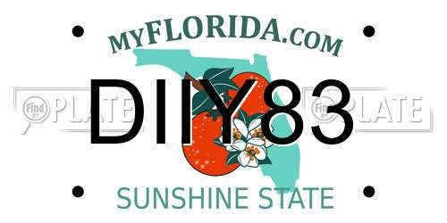 DIIY83 Florida License Plate