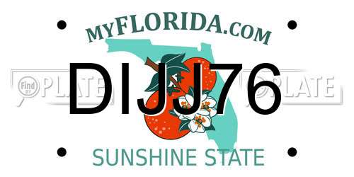 DIJJ76 Florida License Plate
