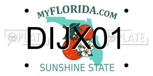 DIJX01 Florida License Plate