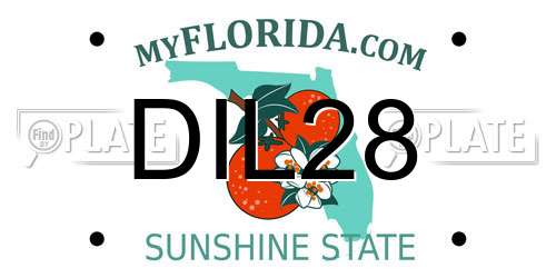 DIL28 Florida License Plate