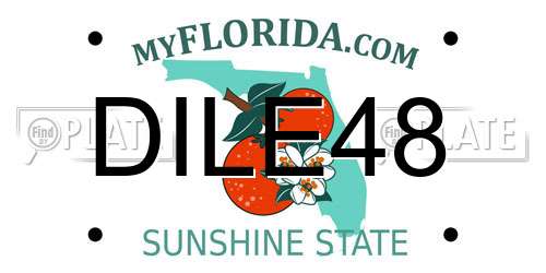 DILE48 Florida License Plate