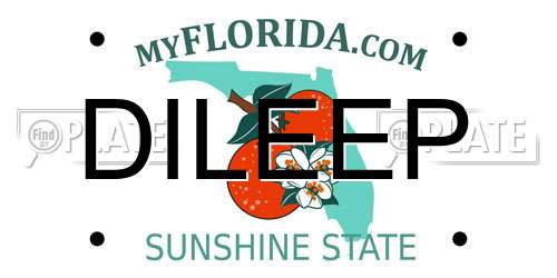 DILEEP Florida License Plate