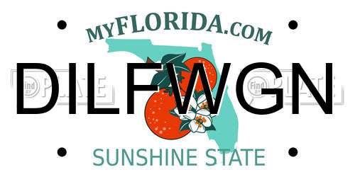 DILFWGN Florida License Plate