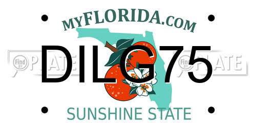 DILG75 Florida License Plate